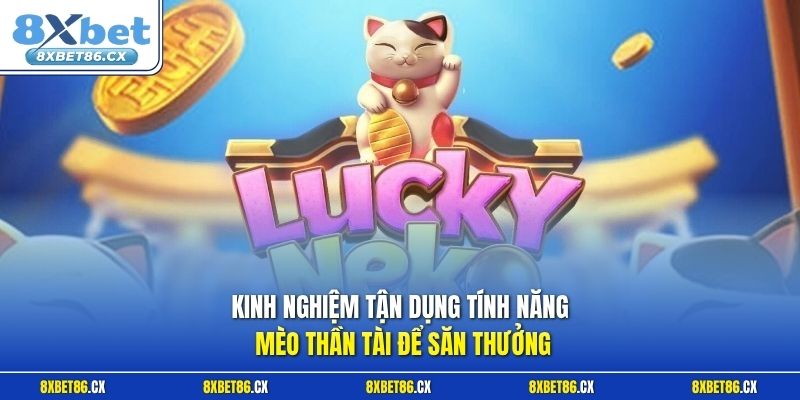 Kinh nghiệm tận dụng tính năng Mèo Thần Tài để săn thưởng
